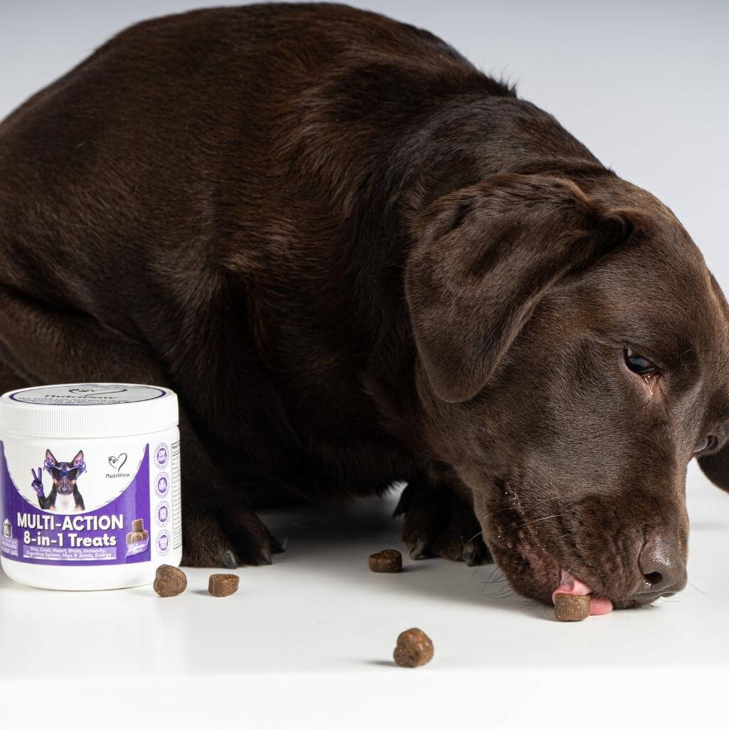 120 tasty calming treats for stress, anxiety & fear | 8-in-1 Multi-Action Treats